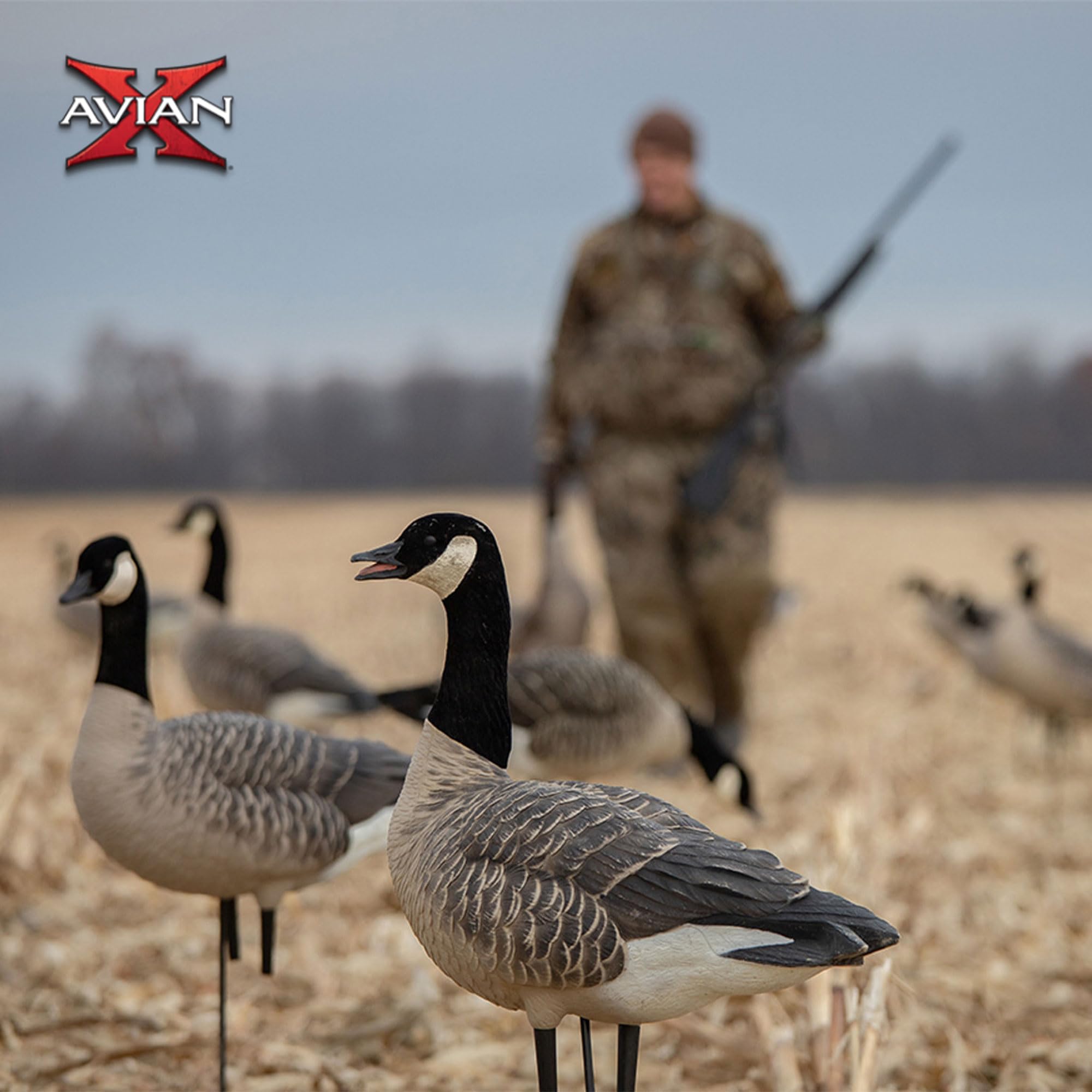 Amazon.com : Avian X AXF Lessers Full Body Goose Hunting Decoys